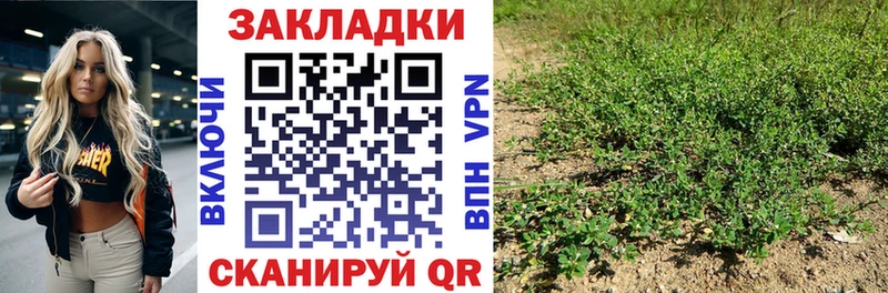 Купить наркотик Плёс МАРИХУАНА Альфа ПВП Кокаин ГАШИШ Псилоцибиновые грибы Меф мяу мяу