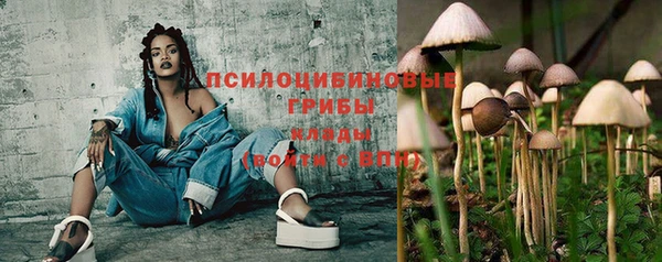 первитин Богородск
