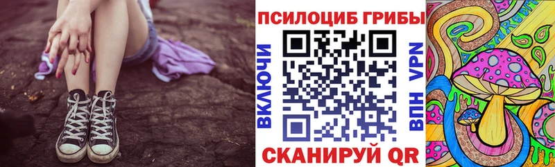 Галлюциногенные грибы GOLDEN TEACHER  цены   Плёс 